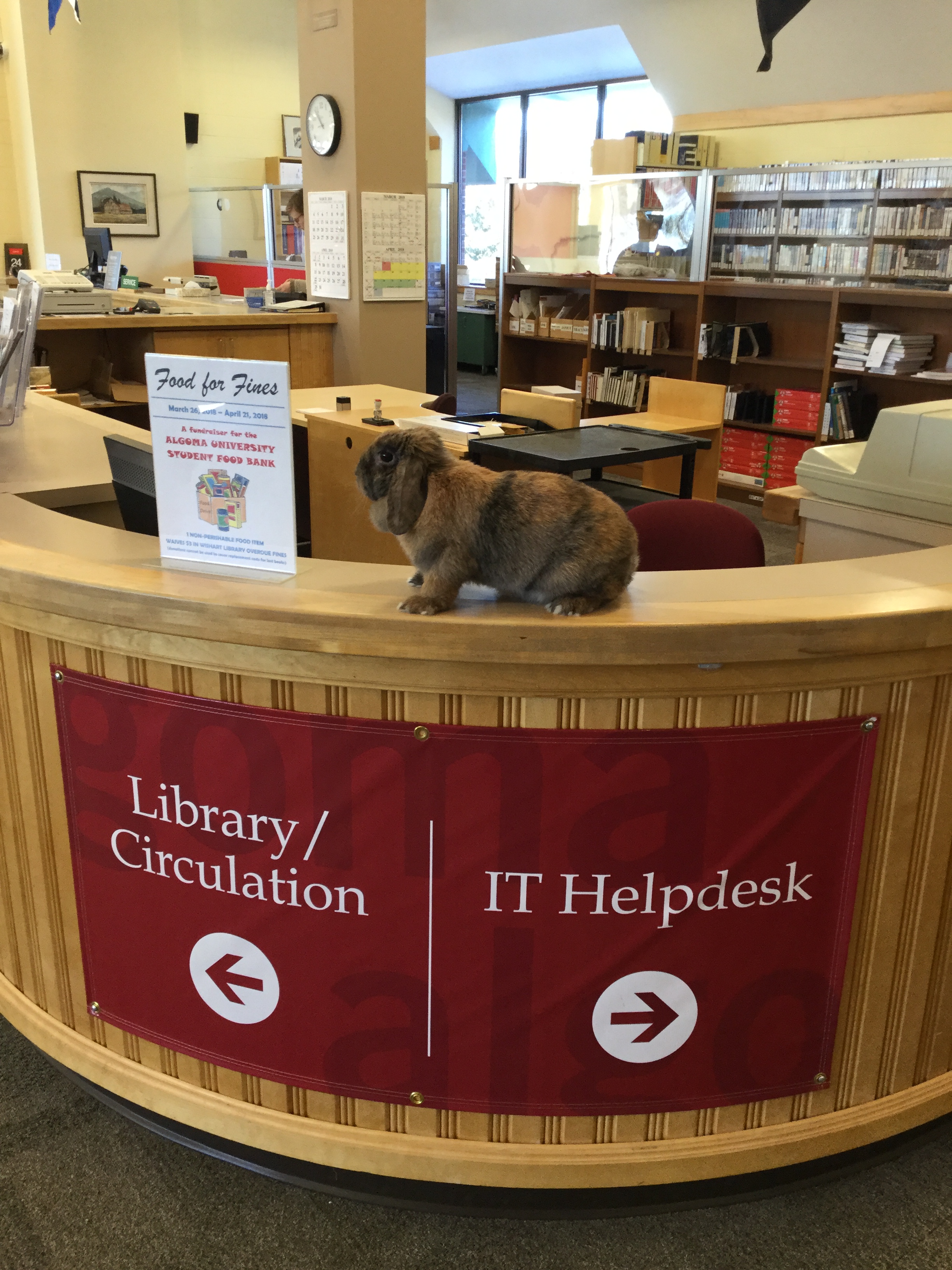 Library Services Desk